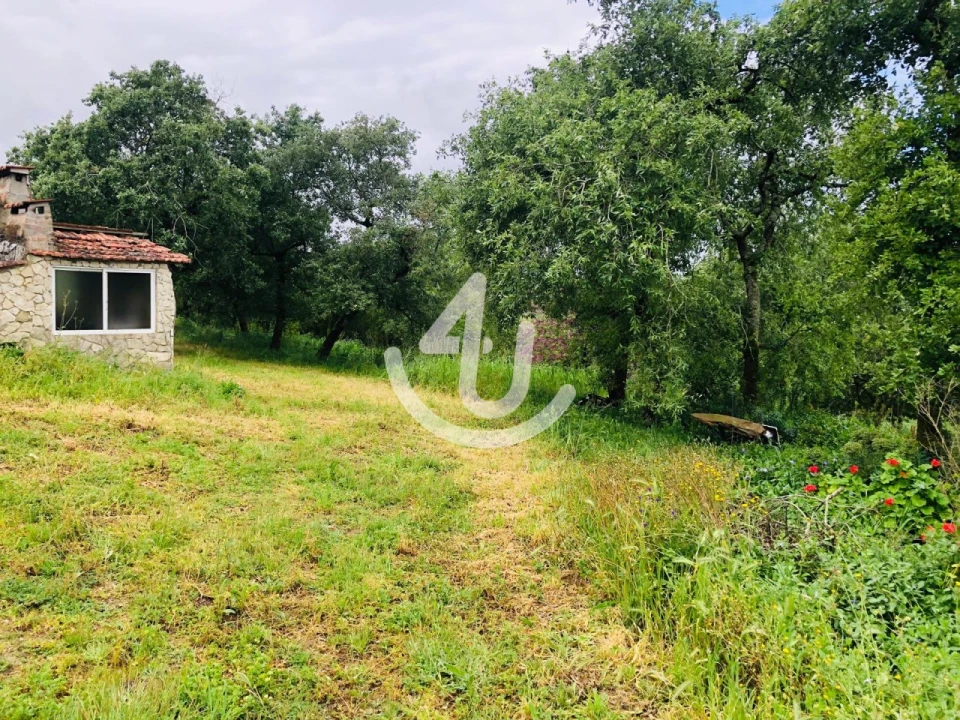 Terreno para Venda em Evora de Alcobaça Foto 4
