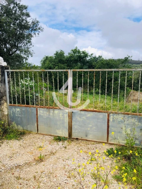 Terreno para Venda em Evora de Alcobaça