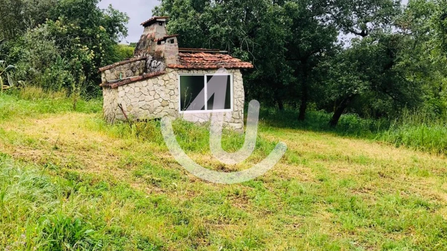 Terreno para Venda em Evora de Alcobaça
