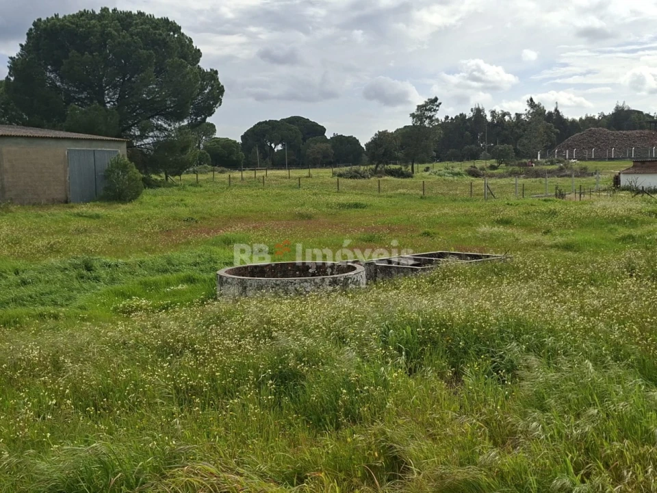 Quinta T3 para Venda em Coruche, Fajarda e Erra Foto 9