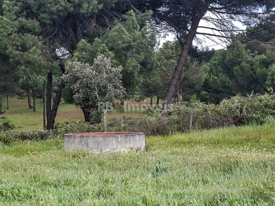 Quinta T3 para Venda em Coruche, Fajarda e Erra Foto 8