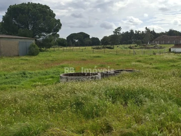 Quinta T3 para Venda em Coruche, Fajarda e Erra