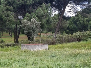 Quinta T3 para Venda em Coruche, Fajarda e Erra