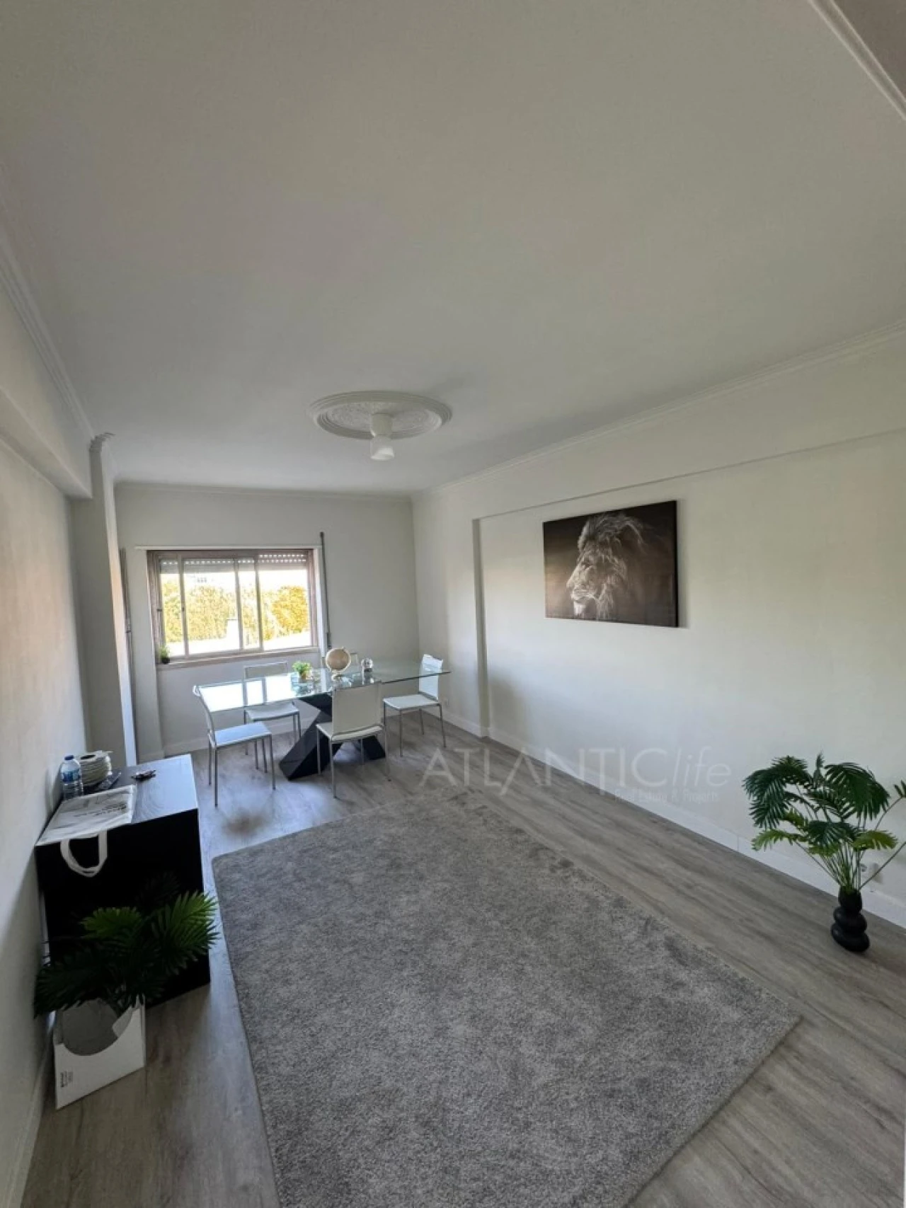 Apartamento T1 para Venda em Queluz e Belas Foto 3