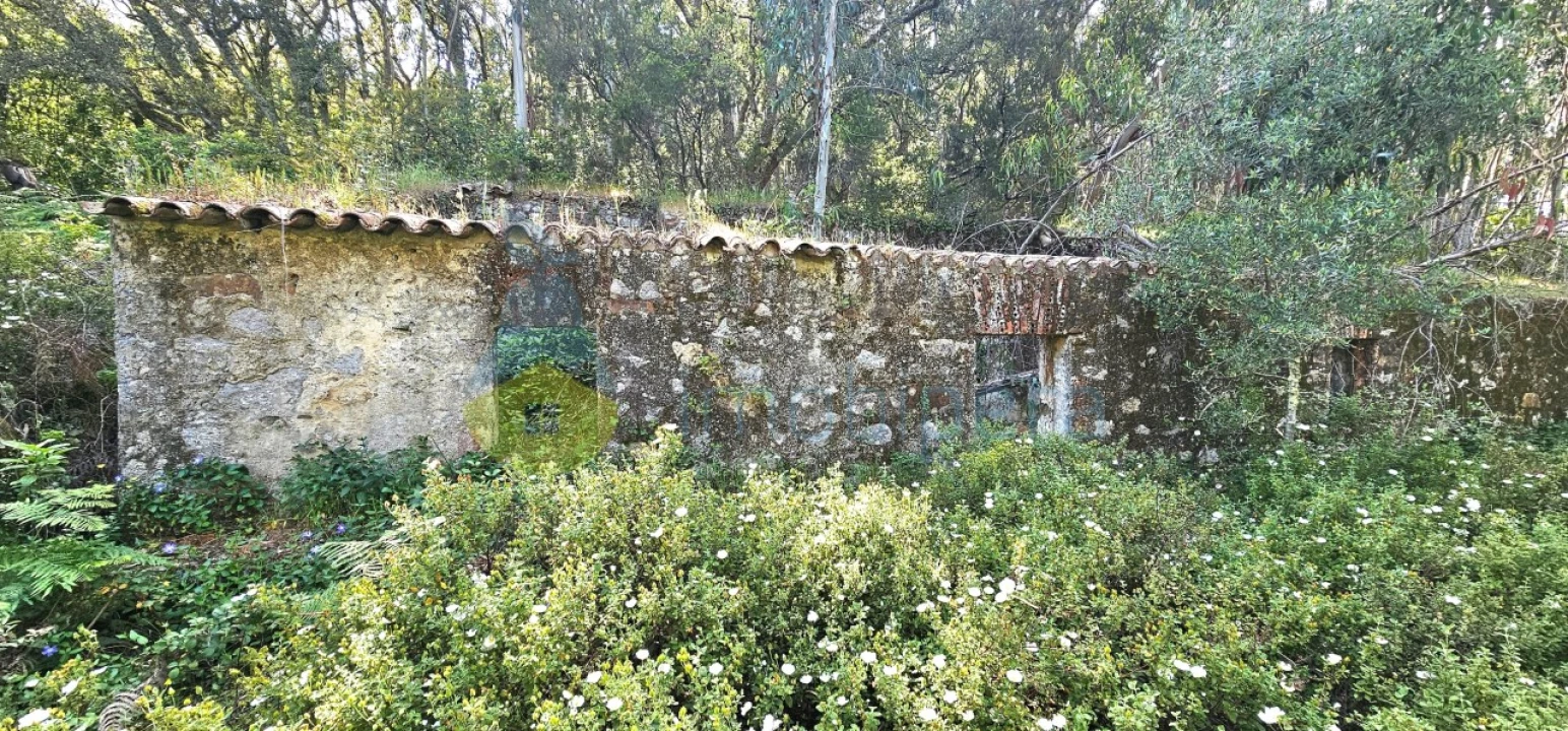 Moradia T2 para Venda em Marmelete Foto 1