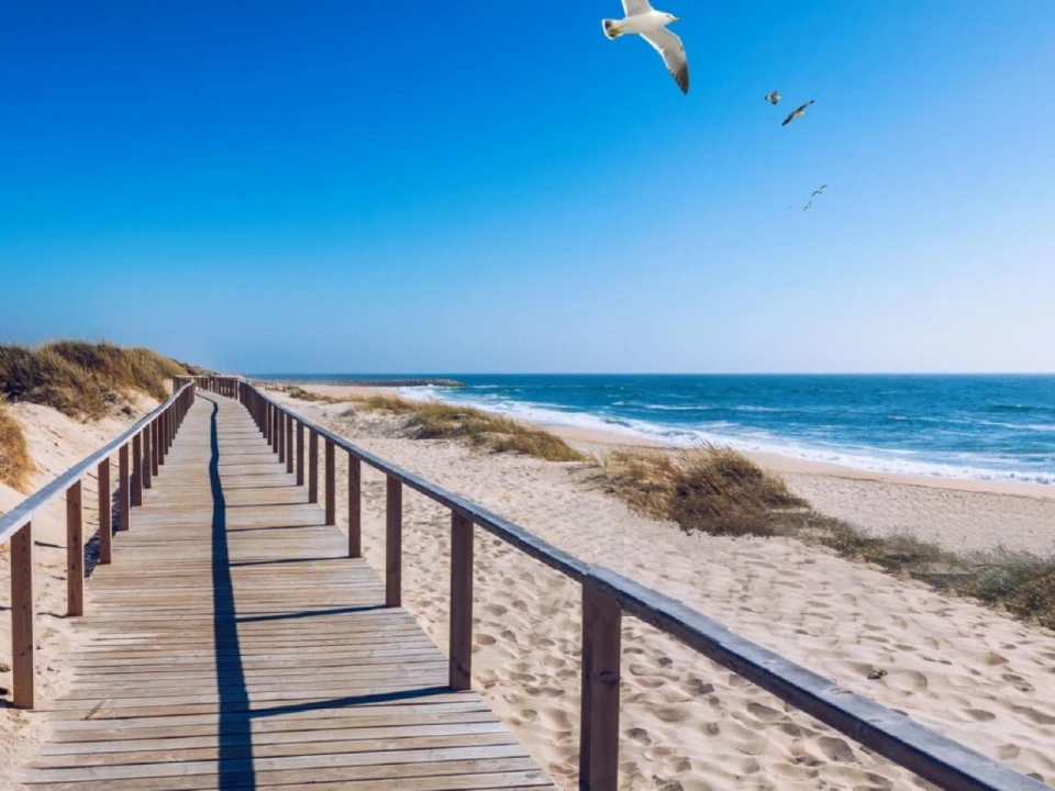 Apartamento T2 para Venda em Gafanha da Nazaré Foto 17