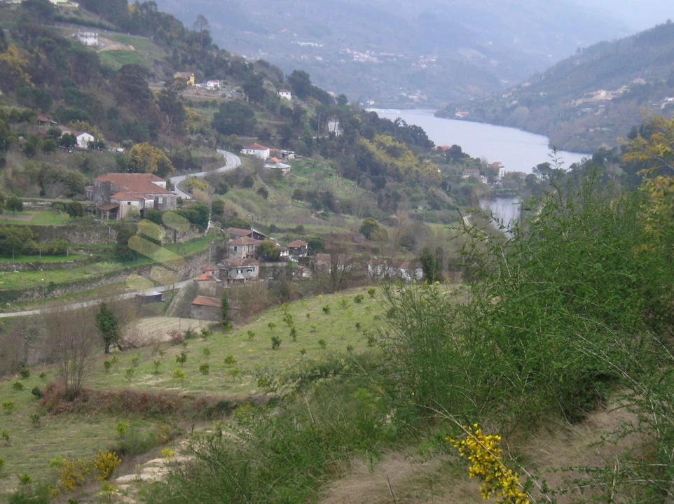 Quinta T5 para Venda em Penhalonga e Paços de Gaiolo Foto 1