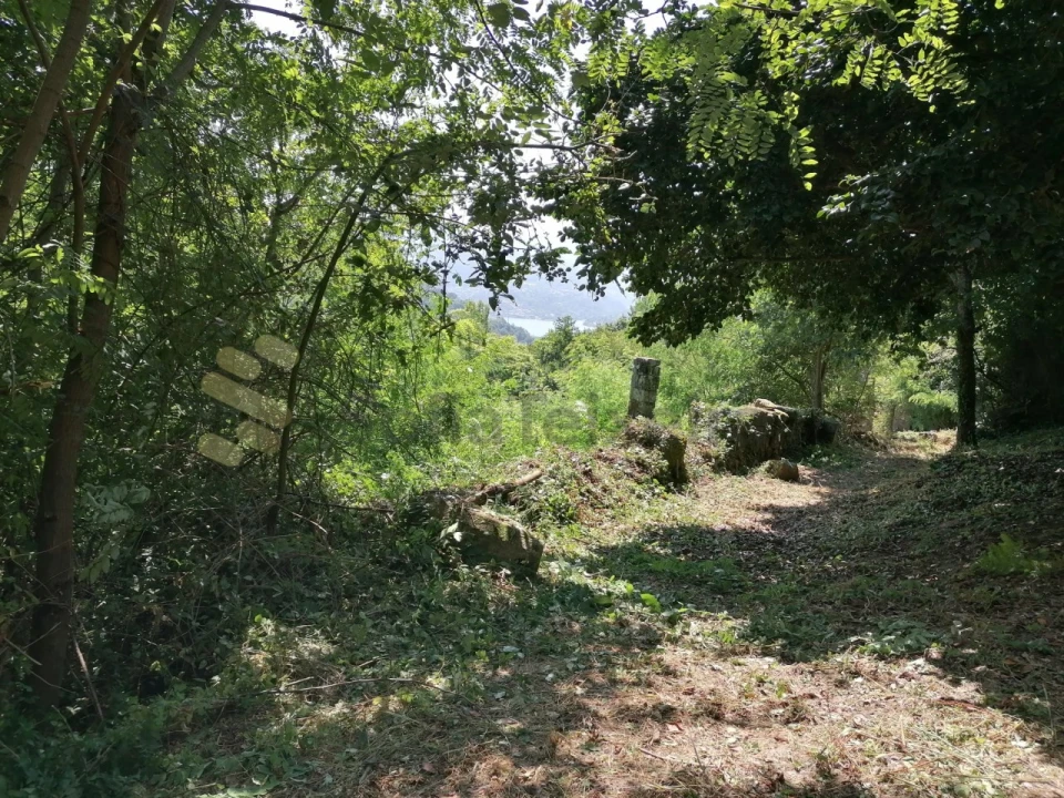 Quinta T5 para Venda em Penhalonga e Paços de Gaiolo Foto 10