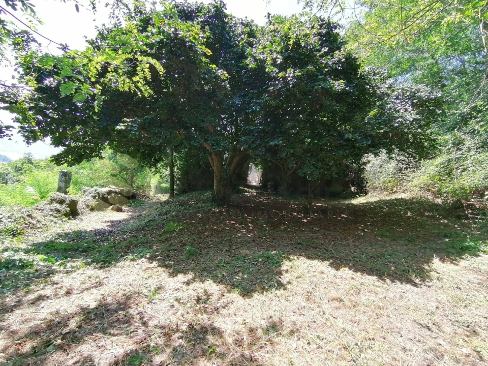 Quinta T5 para Venda em Penhalonga e Paços de Gaiolo Foto 27