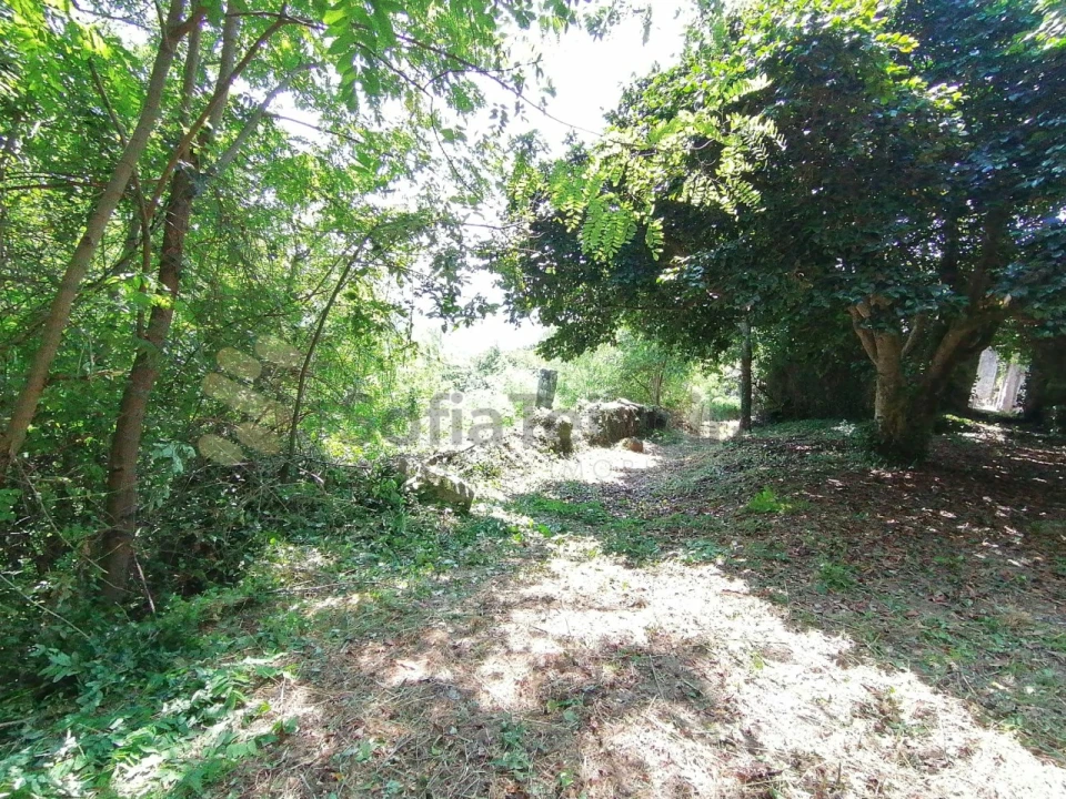 Quinta T5 para Venda em Penhalonga e Paços de Gaiolo Foto 28
