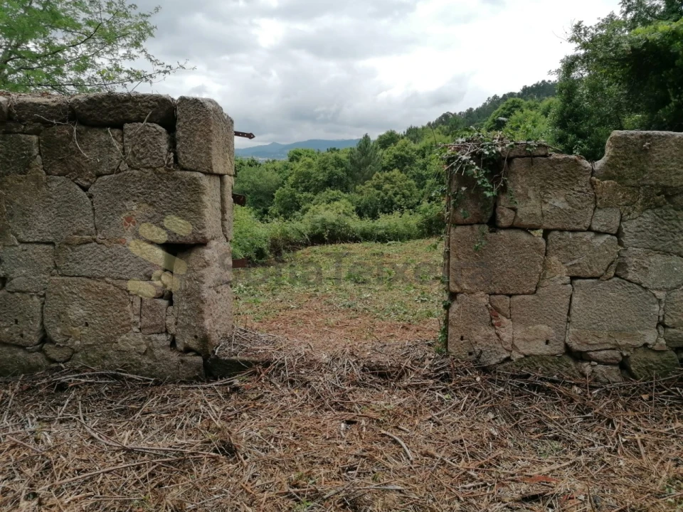 Quinta T5 para Venda em Penhalonga e Paços de Gaiolo Foto 45