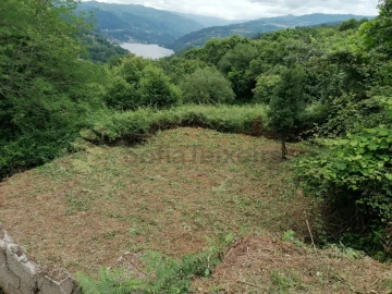 Quinta T5 para Venda em Penhalonga e Paços de Gaiolo