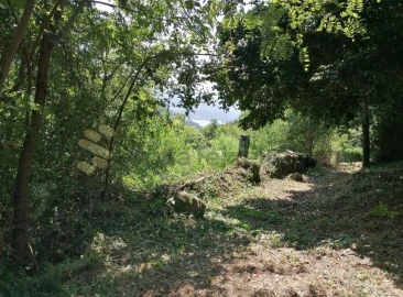 Quinta T5 para Venda em Penhalonga e Paços de Gaiolo