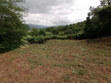 Quinta T5 para Venda em Penhalonga e Paços de Gaiolo