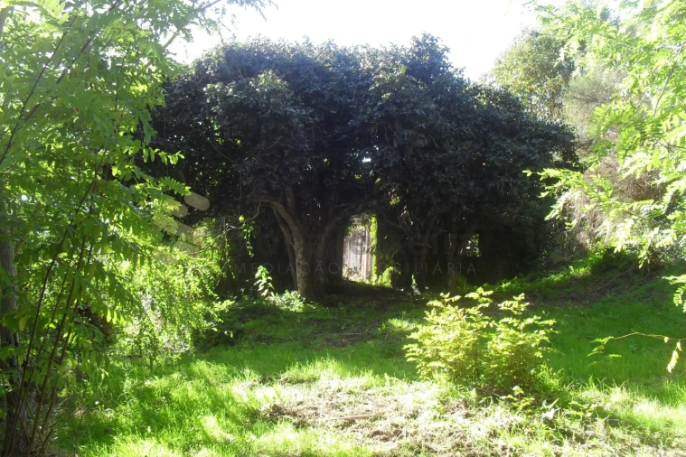 Quinta T5 para Venda em Penhalonga e Paços de Gaiolo Foto 18