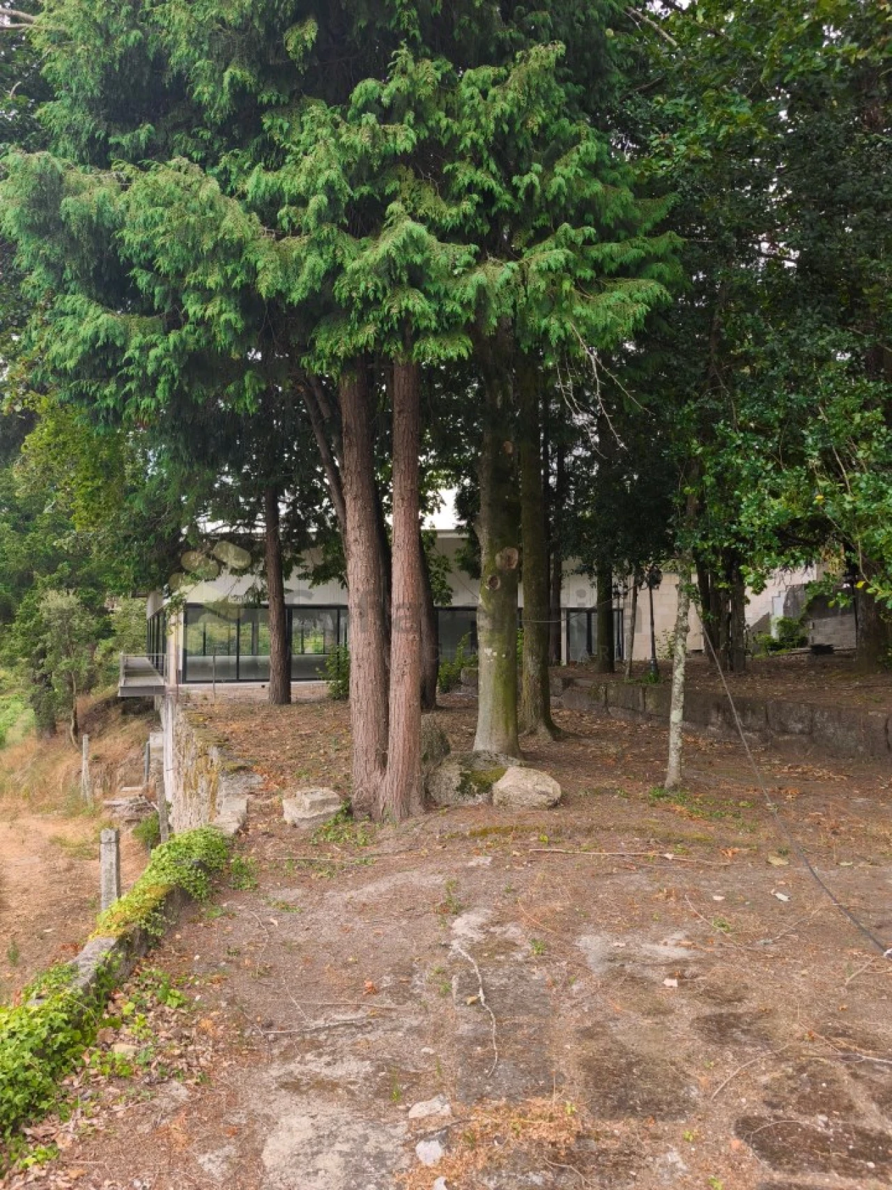 Quinta para Venda em Paço de Sousa Foto 47