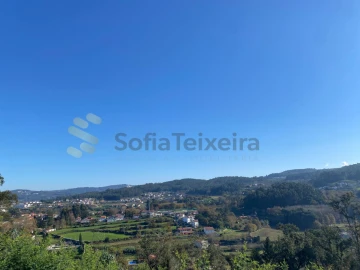 Quinta para Venda em Paço de Sousa