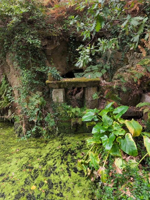 Quinta para Venda em Paço de Sousa