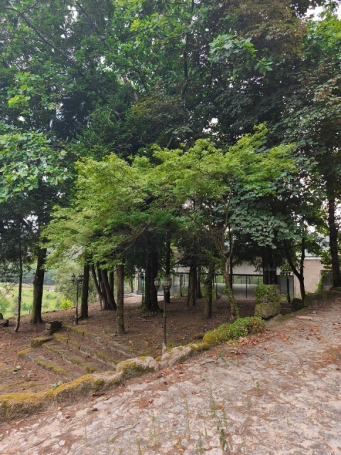 Quinta para Venda em Paço de Sousa