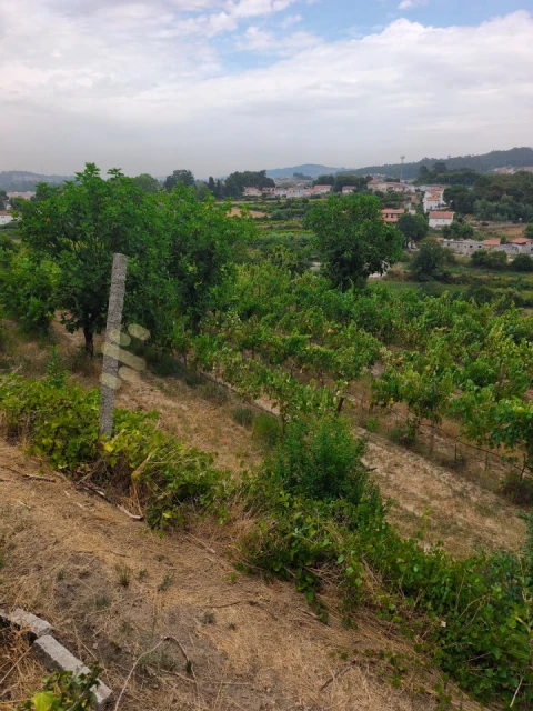Quinta para Venda em Paço de Sousa