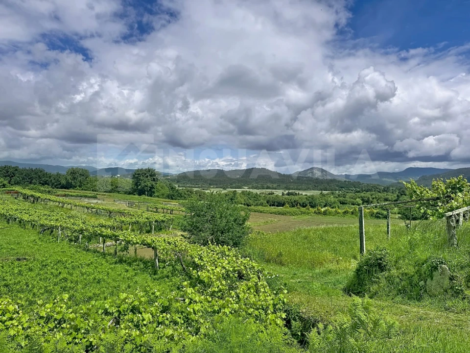 Moradia T2 para Venda em Caminha (Matriz) e Vilarelho Foto 28