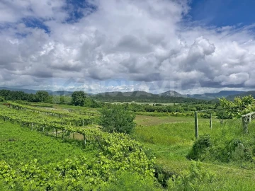 Moradia T2 para Venda em Caminha (Matriz) e Vilarelho