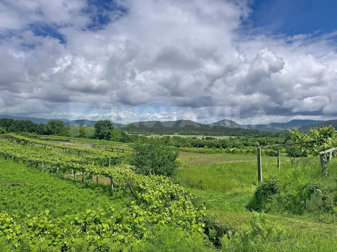 Moradia T2 para Venda em Caminha (Matriz) e Vilarelho Foto 28