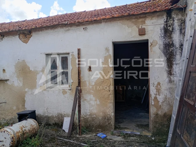 Moradia T4 para Venda em Fonte de Angeão e Covão do Lobo Foto 5