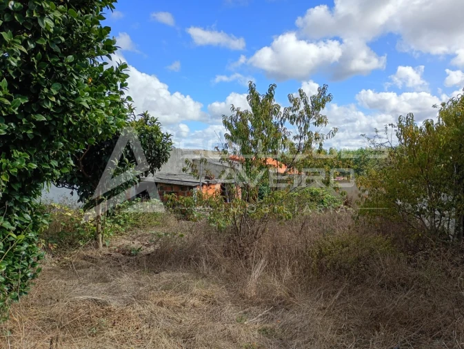 Moradia T4 para Venda em Fonte de Angeão e Covão do Lobo Foto 7