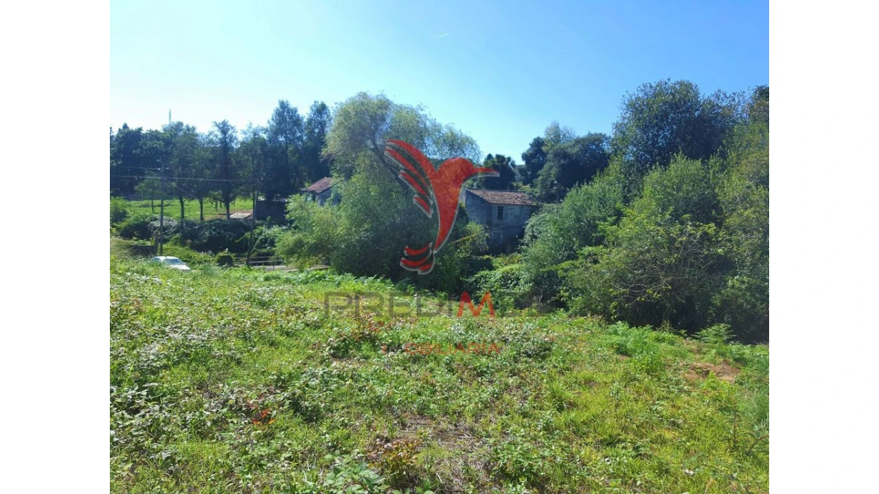 Terreno para Venda em Milheiros Foto 3