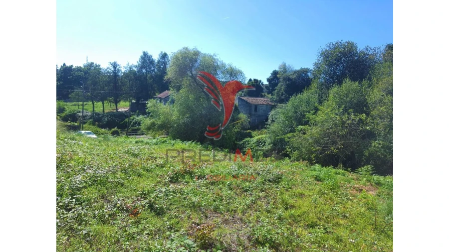 Terreno para Venda em Milheiros Foto 3