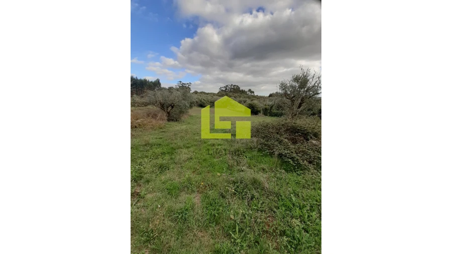 Moradia T2 para Venda em Degracias e Pombalinho Foto 22