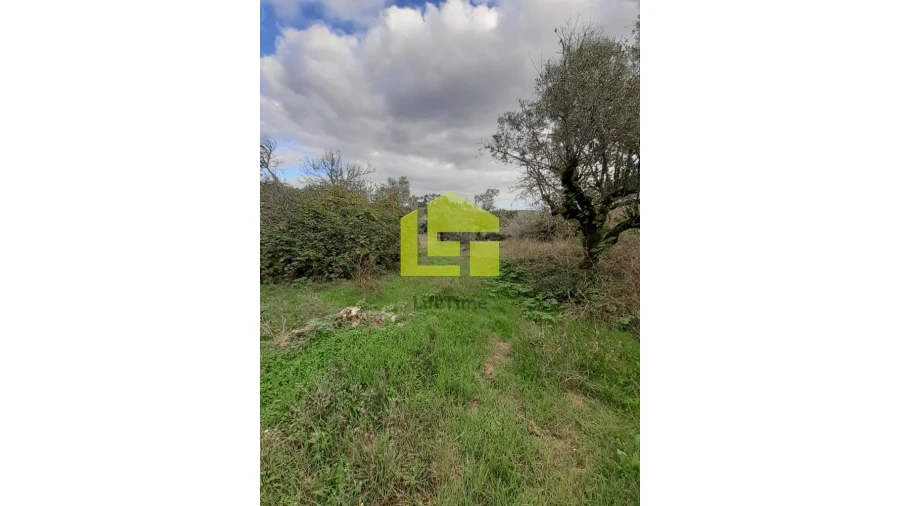 Moradia T2 para Venda em Degracias e Pombalinho Foto 18