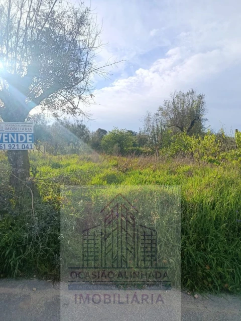Terreno para Venda em Seixo da Beira