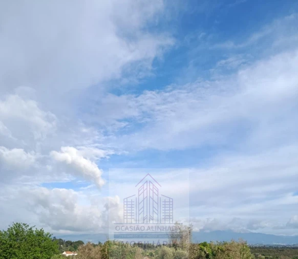 Terreno para Venda em Seixo da Beira Foto 4