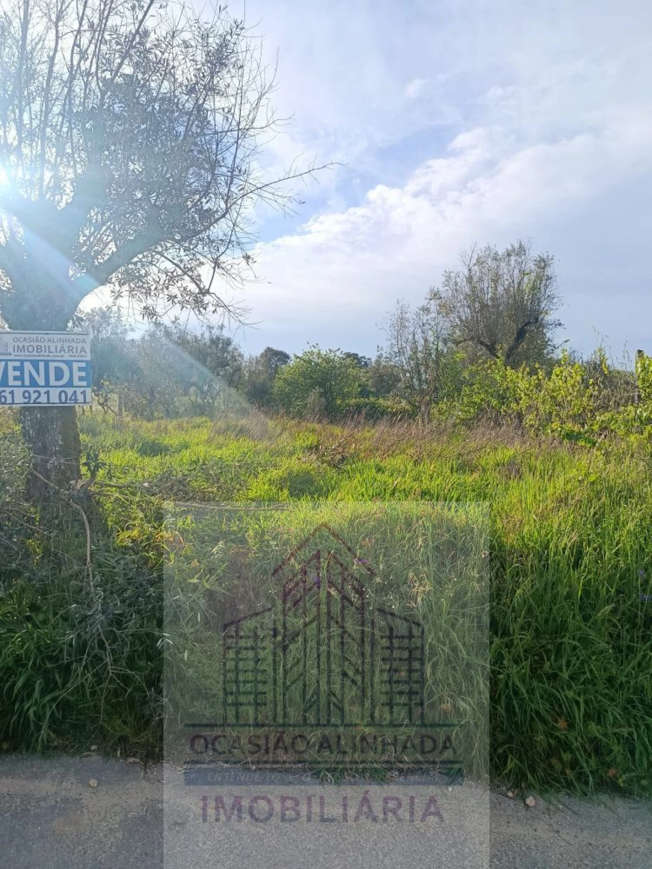 Terreno para Venda em Seixo da Beira Foto 5