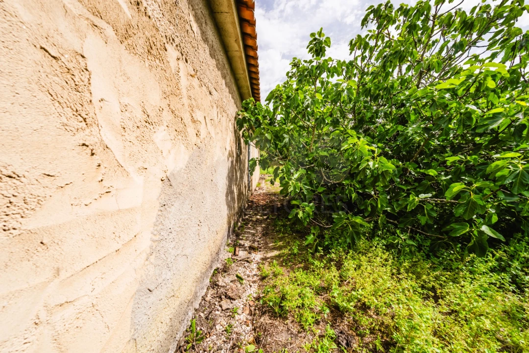Moradia T3 para Venda em Caldas da Rainha - Santo Onofre e Serra do Bouro Foto 5