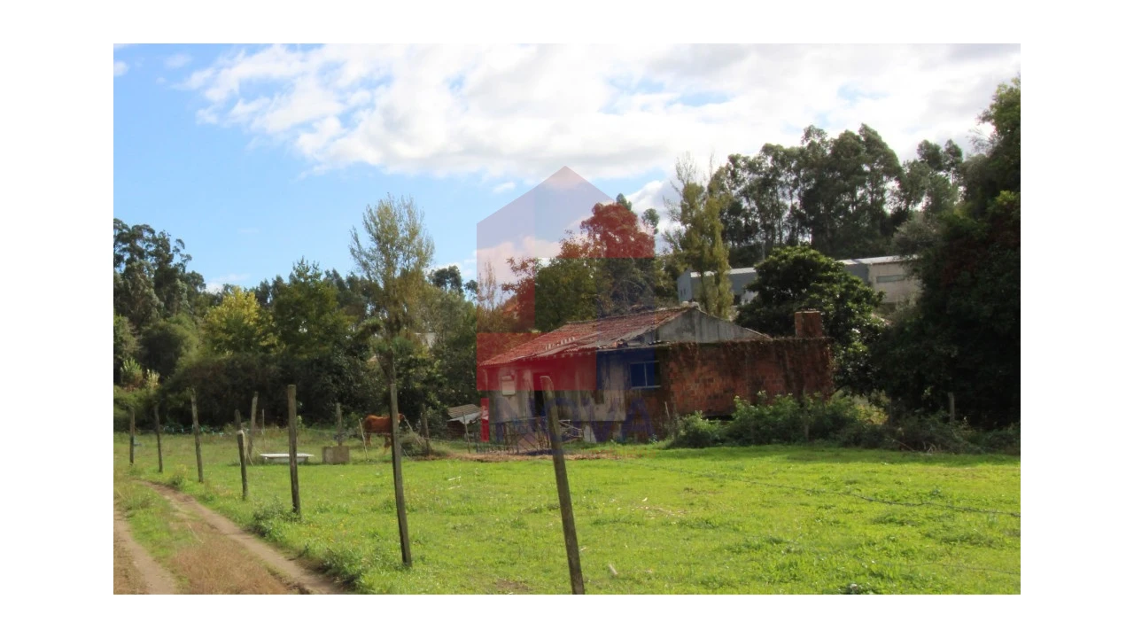 Quinta para Venda em Escariz (São Mamede) e Escariz (São Martinho) Foto 1