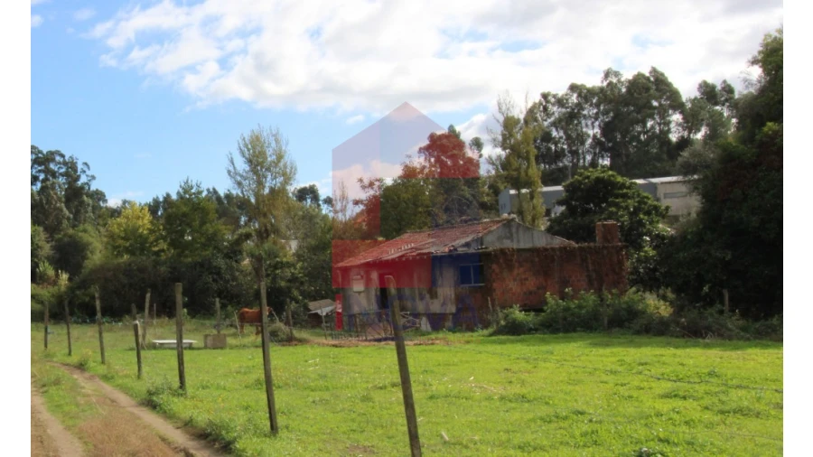 Quinta para Venda em Escariz (São Mamede) e Escariz (São Martinho) Foto 1