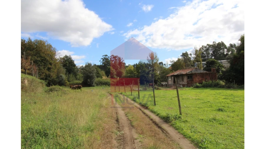 Quinta para Venda em Escariz (São Mamede) e Escariz (São Martinho) Foto 5