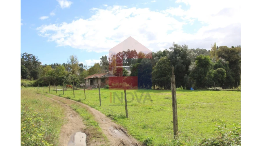 Quinta para Venda em Escariz (São Mamede) e Escariz (São Martinho) Foto 2