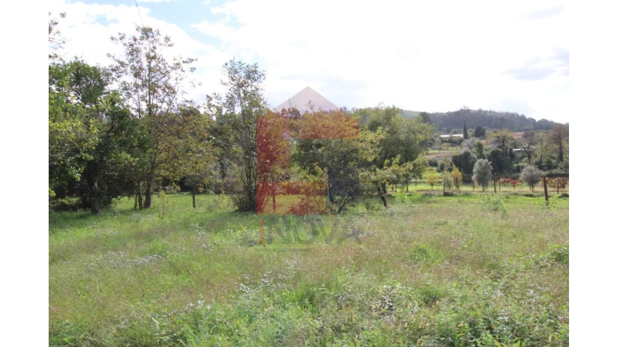 Quinta para Venda em Escariz (São Mamede) e Escariz (São Martinho) Foto 3
