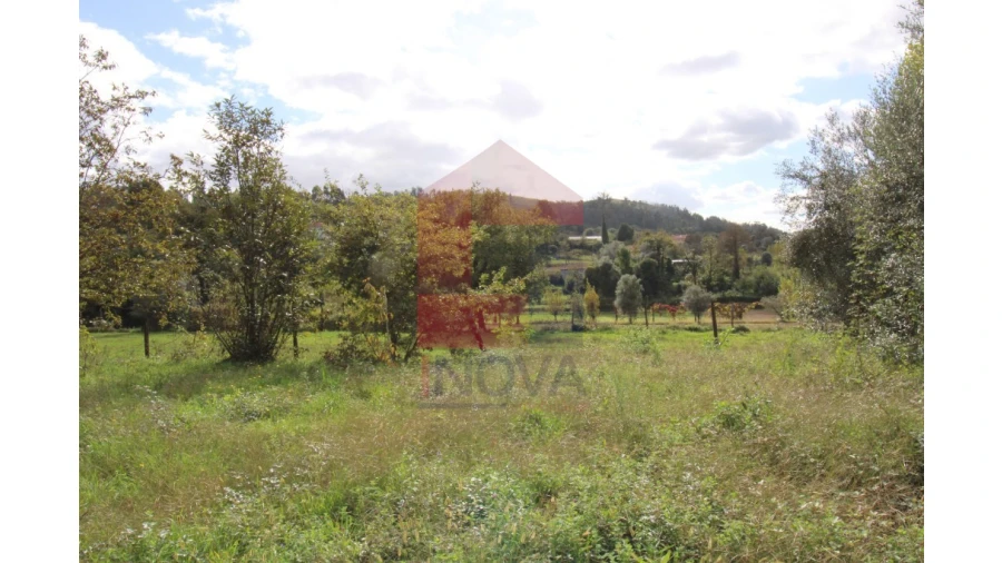 Quinta para Venda em Escariz (São Mamede) e Escariz (São Martinho) Foto 4