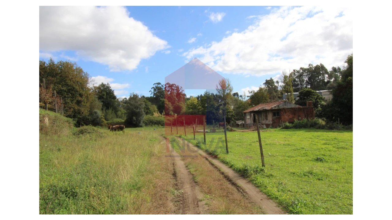 Quinta para Venda em Escariz (São Mamede) e Escariz (São Martinho) Foto 5