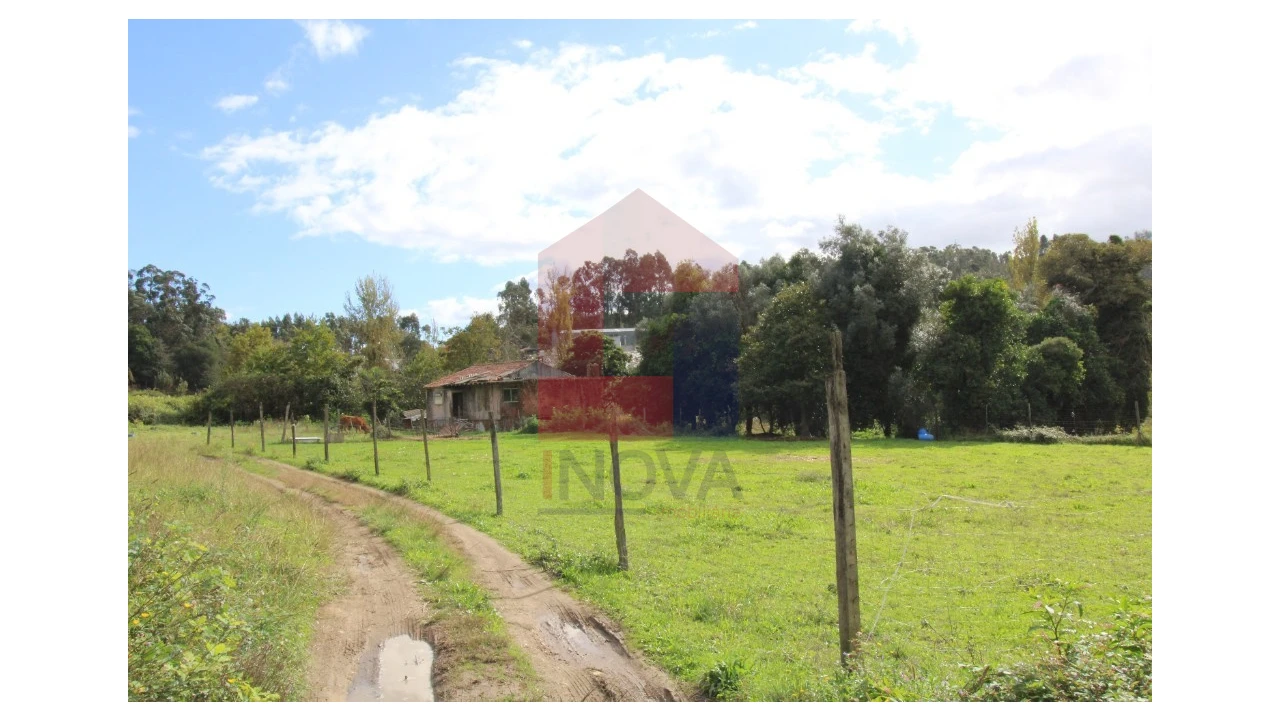 Quinta para Venda em Escariz (São Mamede) e Escariz (São Martinho) Foto 2