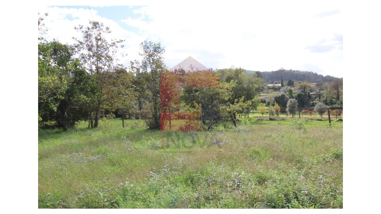Quinta para Venda em Escariz (São Mamede) e Escariz (São Martinho) Foto 3