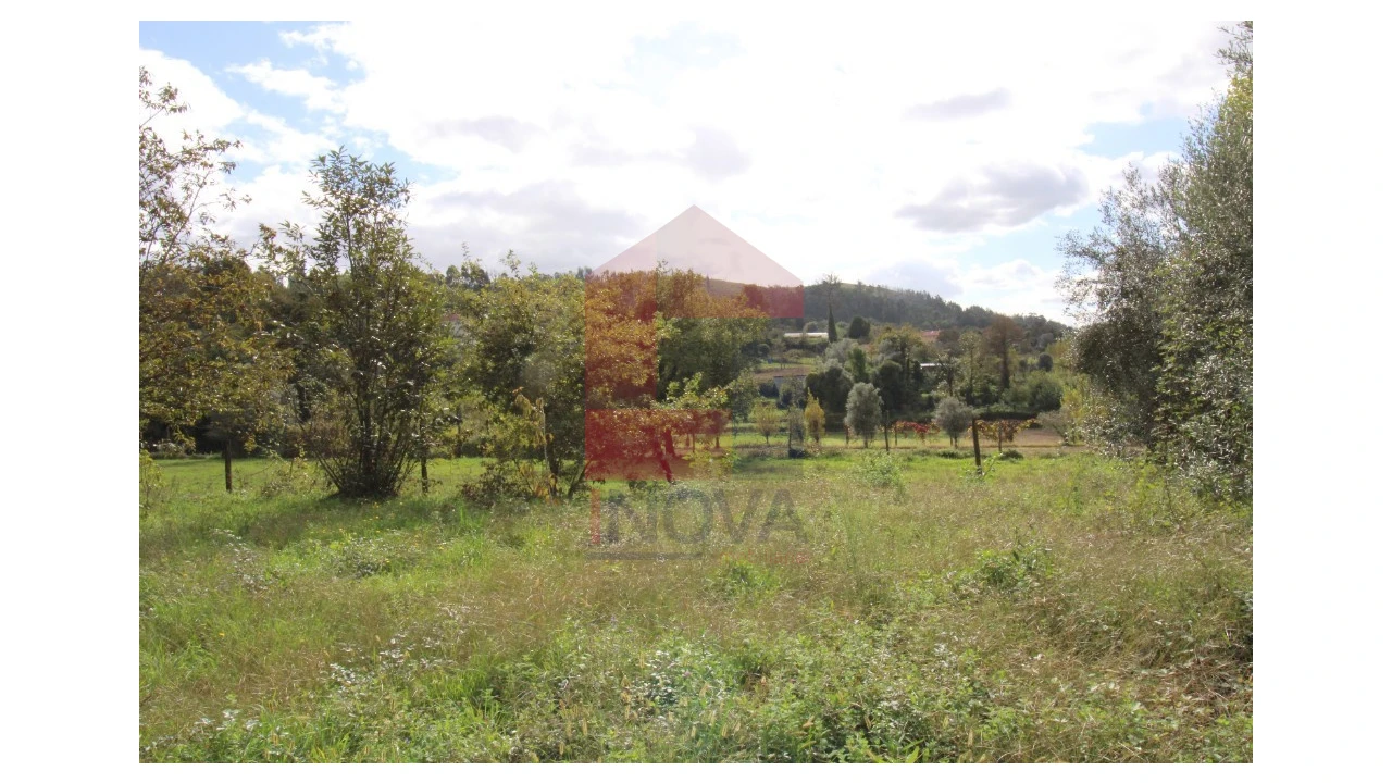 Quinta para Venda em Escariz (São Mamede) e Escariz (São Martinho) Foto 4