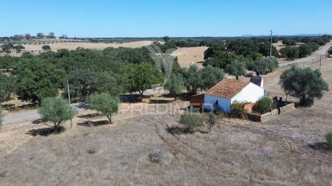 Quinta T1 para Venda em Pavia