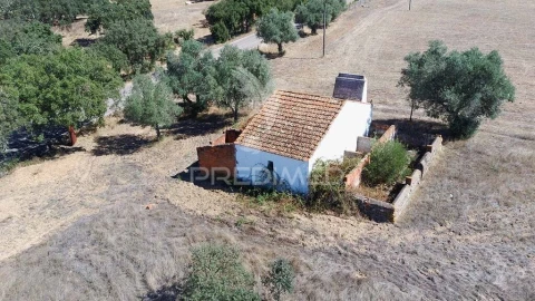 Quinta T1 para Venda em Pavia