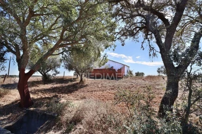 Quinta T1 para Venda em Pavia
